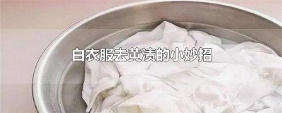 ​白衣服去黄渍的小妙招