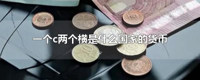 ​一个c两个横是什么国家的货币