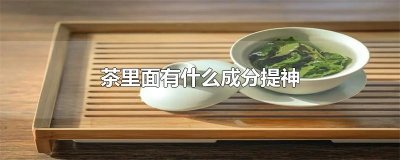 ​茶里面有什么成分提神