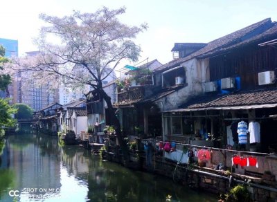 ​55书圣王羲之故里