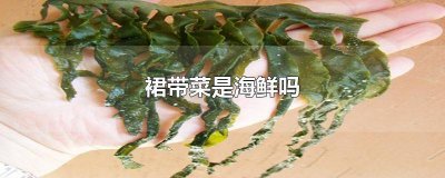 ​裙带属于海鲜吗? 裙带菜属于海鲜