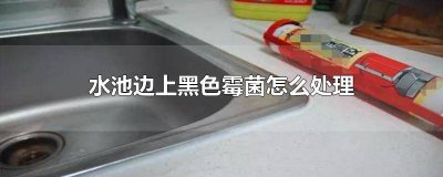 ​水池旁的黑色霉斑怎么去除 如何清除水池边上的霉菌