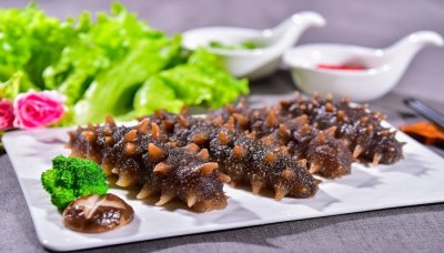 ​海参是海鲜吗