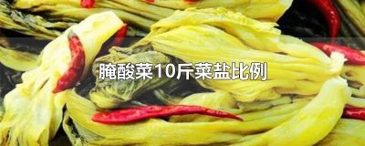 ​腌酸菜10斤菜盐比例