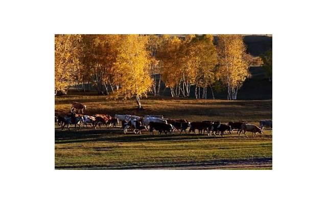 男友突然玩失踪的心理