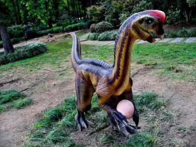 ​最冤枉的恐龙--窃蛋龙