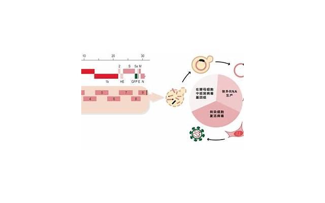 更方便你们约会哦 情侣晚上公园约会注意什么