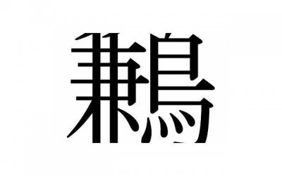 ​阴瑜伽：让你的身体和心灵都得到放松