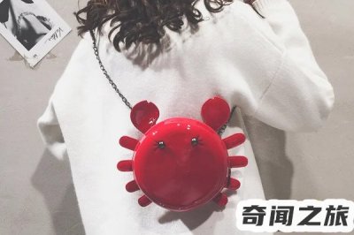 ​螃蟹女比喻女人（啥是田园女和螃蟹女）
