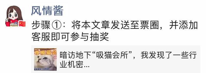 暗访地下“吸猫会所”,我发现了一些行业机密…