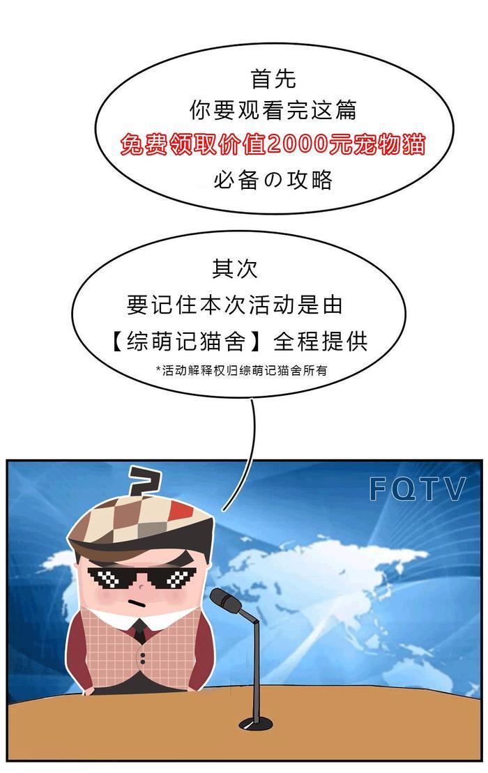暗访地下“吸猫会所”,我发现了一些行业机密…