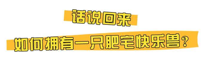 暗访地下“吸猫会所”,我发现了一些行业机密…