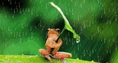 ​小雨点会变成什么,小雨点儿上山坡变成蘑菇笑呵呵照样子写句子