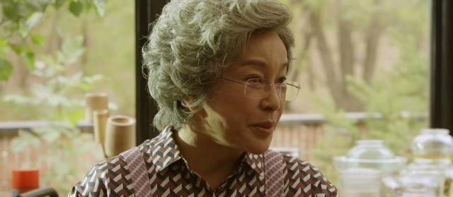 徐帆演一个母亲的电视剧(徐帆主演的电视剧大全) 徐帆 第6张 徐帆演一个母亲的电视剧(徐帆主演的电视剧大全) 徐帆 第6张
