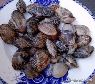 花甲怎么吐沙效果最快(花甲这样吐沙又快又干净)(2)