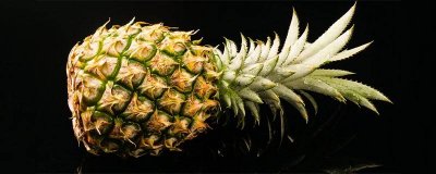 ​菠萝有种子吗 菠萝的种子是什么