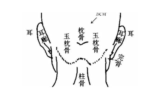 你存在我深深的脑海里是什么歌曲