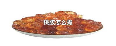 ​血燕桃胶怎么煮 桃胶怎么煮糖水