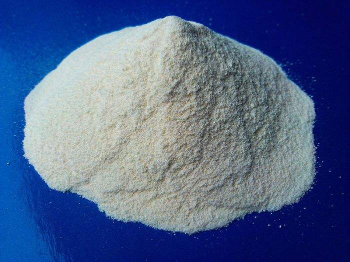 蛋白酶的作用和功效(蛋白酶的主要功能介绍)