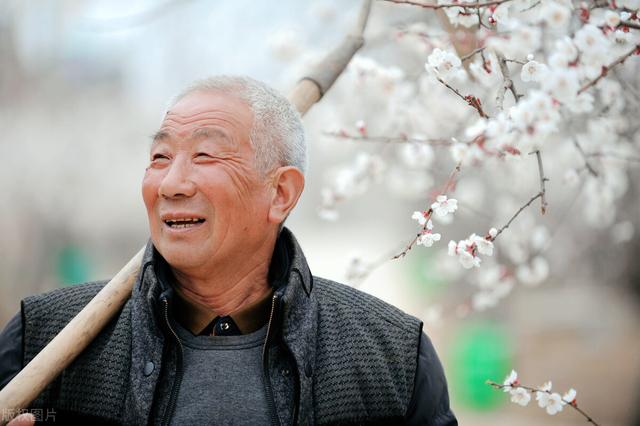 农村说的寡妇年是什么意思(农村俗语寡妇年)(1)