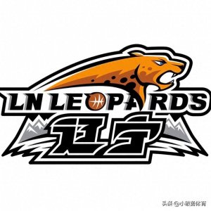 ​CBA球队背后金主大盘点（一）