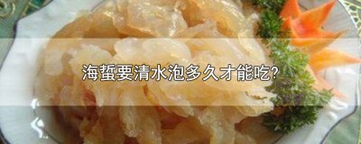 ​海蜇要清水泡多久才能吃