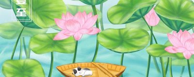 ​夏至该吃什么夏至怎样养生 夏至养生应该吃什么