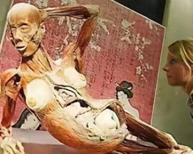 ​大连的“人体加工厂icon”你知道吗
