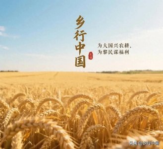 ​“十五五”四川石化产业发展现状与“中国石化产业城”建设蓝图