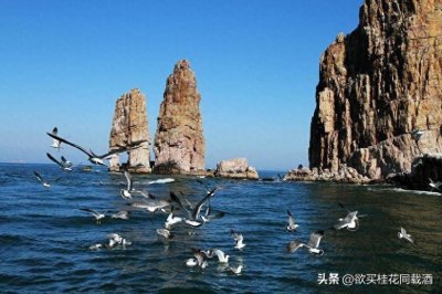 ​盘点烟台五大绝美海岛，你都去过哪几个？