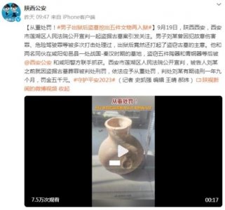 ​从重处罚！男子出狱后盗墓挖出五件文物再入狱