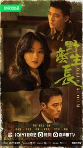 ​《野蛮生长》发布全新海报，赵丽颖再次出演女强人