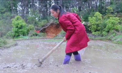 ​“农村橙子”，以农村为创业领域，触动了游子们悠悠的乡愁
