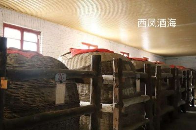 ​陈酒神器——酒海，酒海味是灵魂，酒海味到底是什么味道？