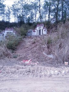 ​新坟第一年清明扫墓讲究“不过社”，今年春社是哪天？有答案了