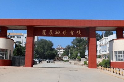 ​强制学生购买平板电脑，学校变相收费为何屡禁不止？