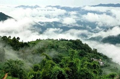 ​“哀牢山”到底是怎样的存在？为何称为“生命禁区”？