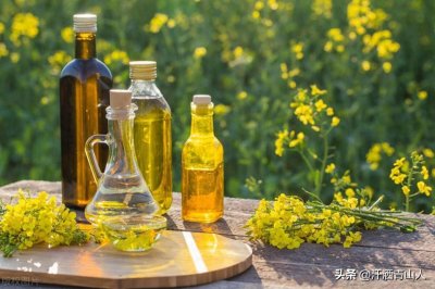​一斤菜籽能榨多少油？品种差异与榨油技巧揭秘