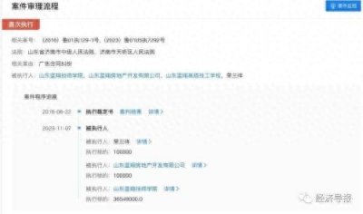 ​被强制执行1.8亿，困于“宫斗”的蓝翔怎么了？