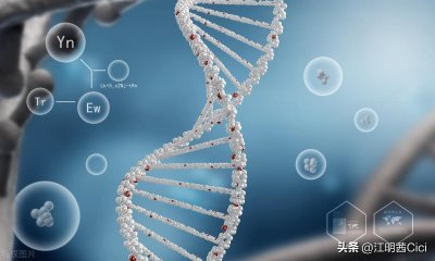 ​什么是DNA，为什么它在生命科学和医学领域中如此重要？