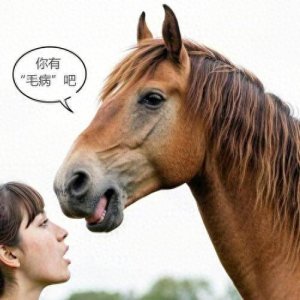 ​“毛病”的“毛”是什么动物的毛，原来它最初真的和马有关！
