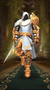 ​白金相间，魔兽世界正式服圣骑士幻化分享，附调料包-3.30
