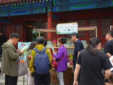 ​北京昌平推出“樱桃采摘路线图”