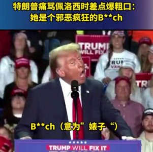 ​特朗普痛骂佩洛西时差点爆粗口：政治舞台上的“老小孩”对决