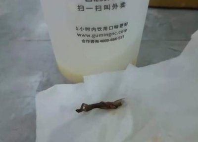 ​古茗奶茶喝出壁虎：涉事门店已停业自查 月初刚因原料过期被罚9000元