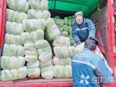 ​暖心！苏州这个社区12000余斤白菜免费送居民