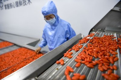 ​（乡村振兴·图文互动）“滩羊和枸杞之乡”的土特产生意经