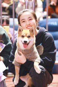​小H探班张子枫怎么回事 小H是谁和张子枫什么关系