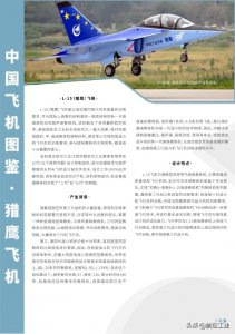 ​中国飞机图鉴 | L-15（猎鹰）：高级高机动性超声速教练机