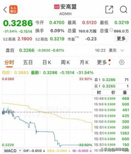 ​中概股惊魂夜：暴跌背后暗藏哪些市场信号？全球资本版图正在重构
